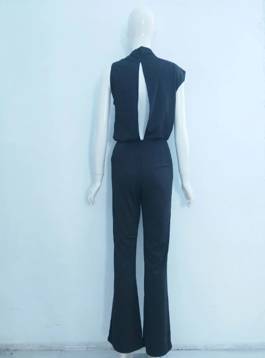 Alix Wijde Jumpsuit met One-shoulder